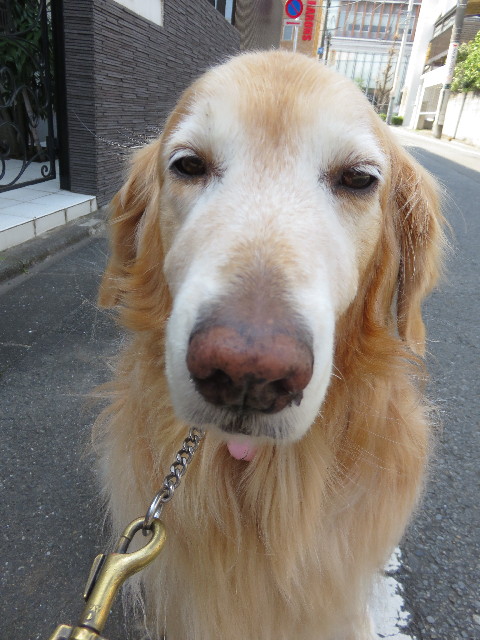 ファイル 4845-2.jpg