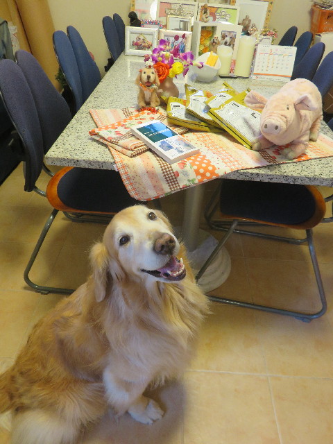 ファイル 4845-3.jpg