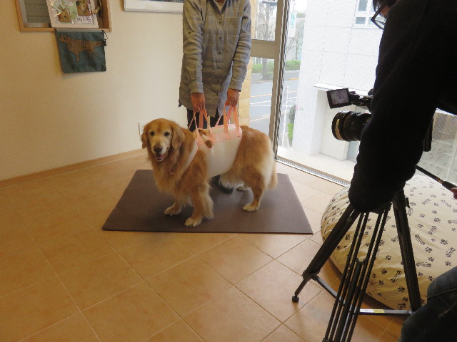 ファイル 4849-4.jpg