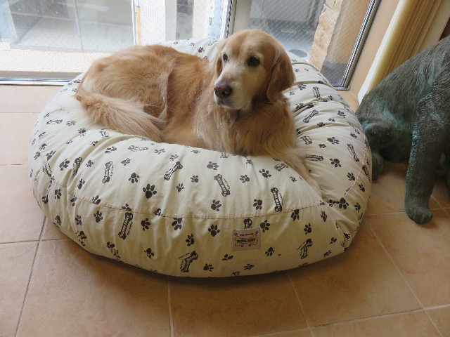 ファイル 4849-5.jpg