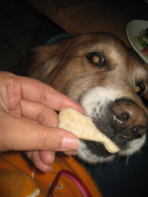 ファイル 485-1.jpg