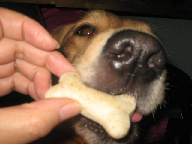 ファイル 485-2.jpg