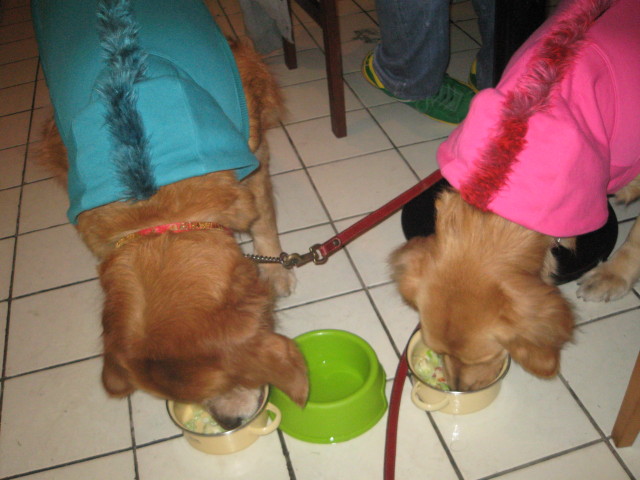 ファイル 485-3.jpg