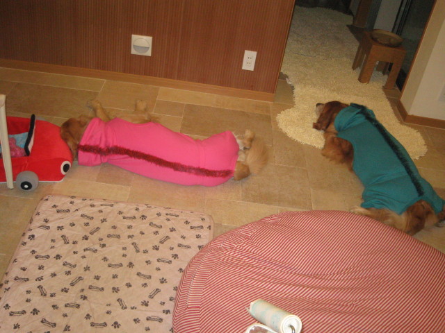 ファイル 485-5.jpg