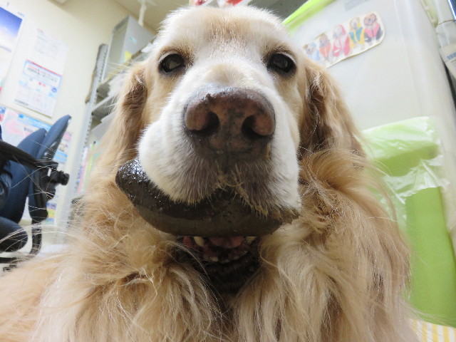 ファイル 4851-3.jpg