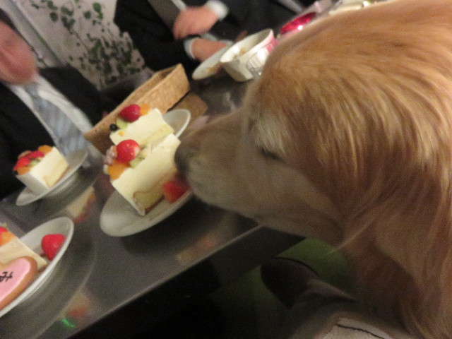 ファイル 4852-5.jpg