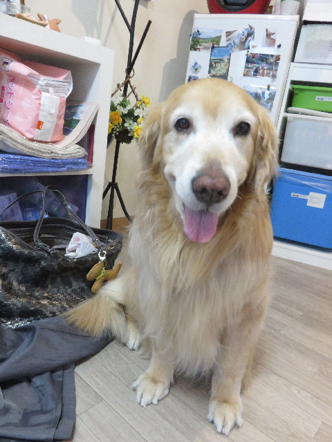 ファイル 4853-4.jpg