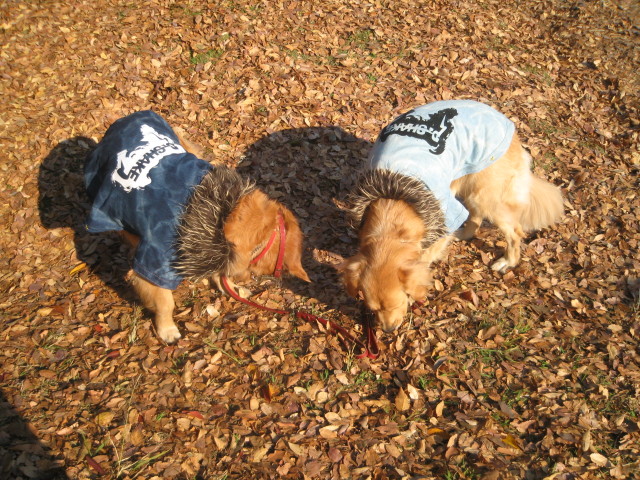 ファイル 486-1.jpg