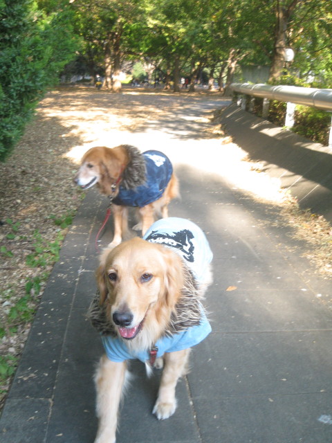 ファイル 486-3.jpg