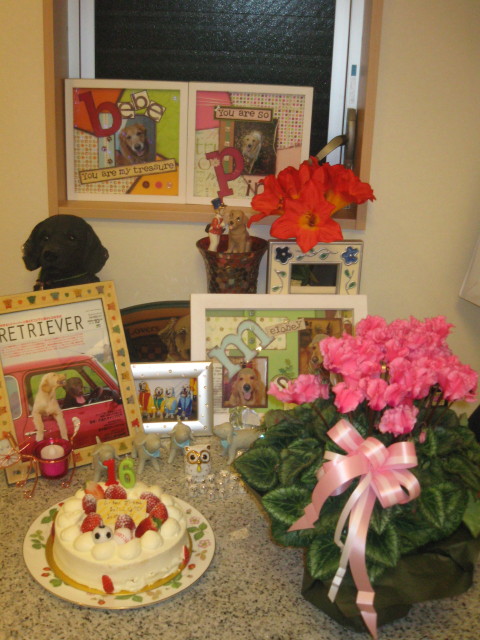 ファイル 486-5.jpg