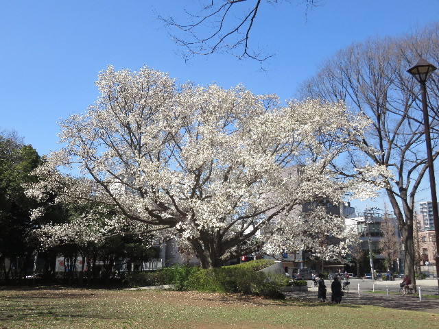 ファイル 4860-1.jpg