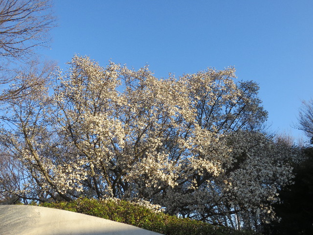 ファイル 4860-5.jpg