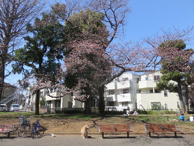 ファイル 4861-4.jpg
