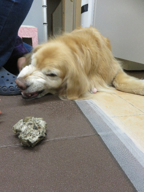 ファイル 4864-4.jpg