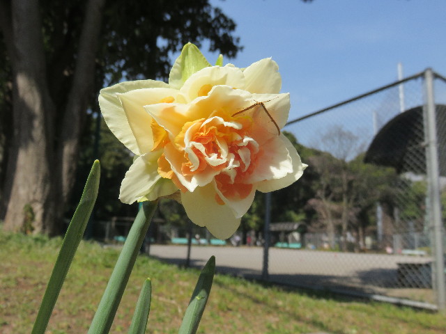 ファイル 4870-3.jpg