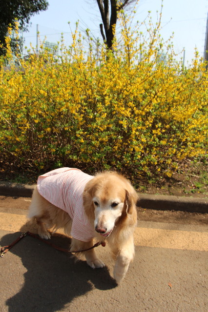 ファイル 4877-2.jpg