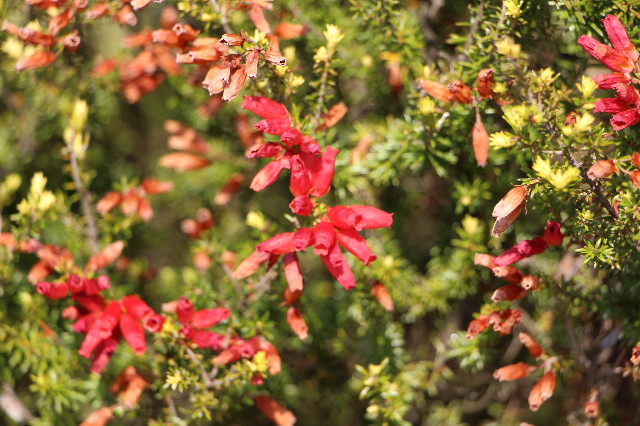 ファイル 4879-5.jpg