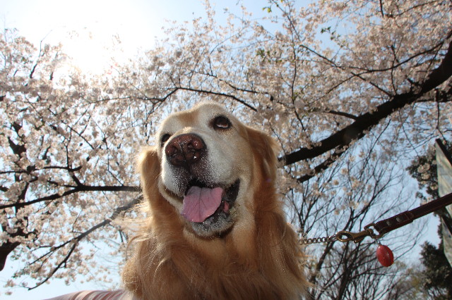 ファイル 4880-5.jpg