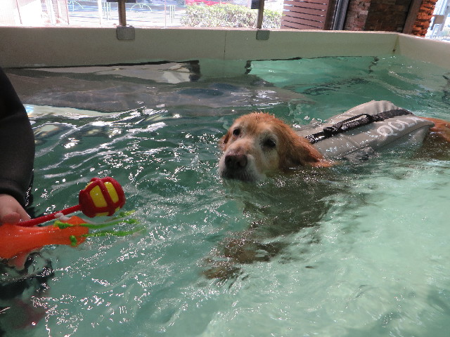 ファイル 4881-4.jpg