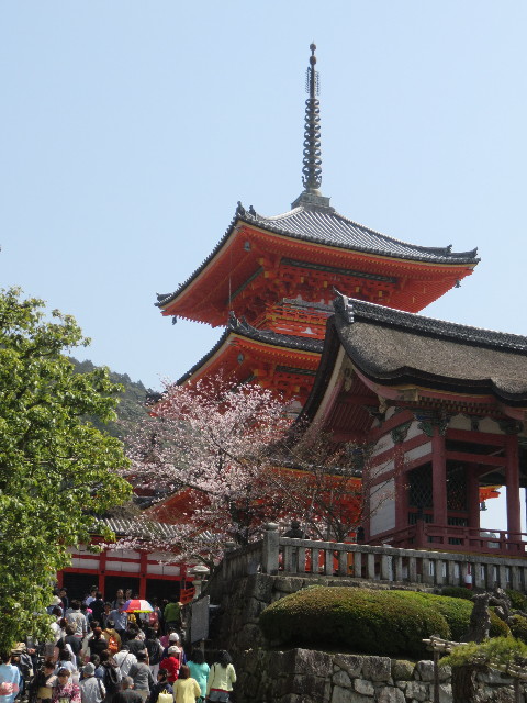 ファイル 4883-1.jpg