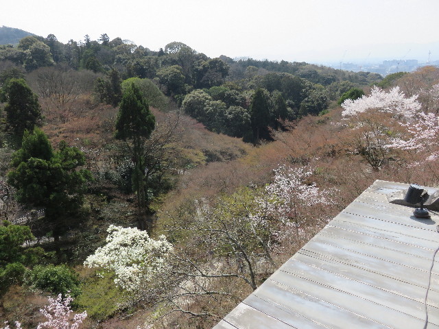 ファイル 4883-2.jpg