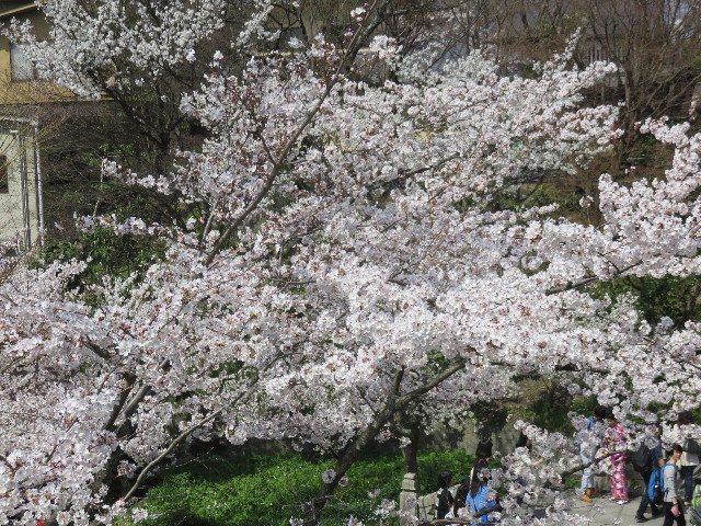 ファイル 4883-3.jpg