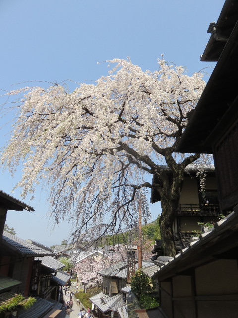 ファイル 4883-4.jpg