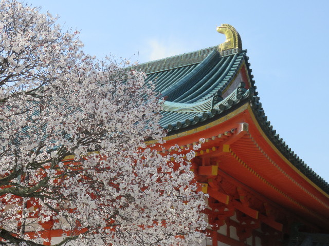 ファイル 4884-1.jpg