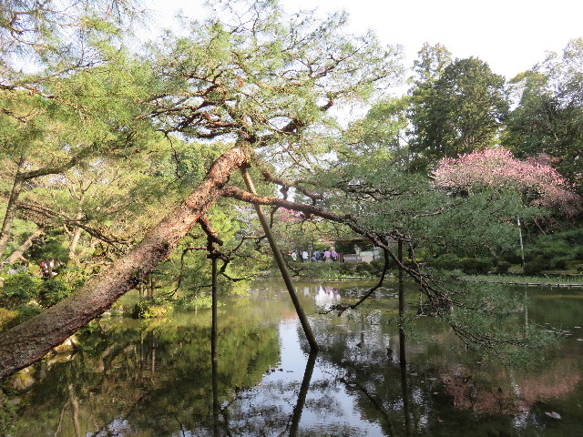 ファイル 4884-5.jpg