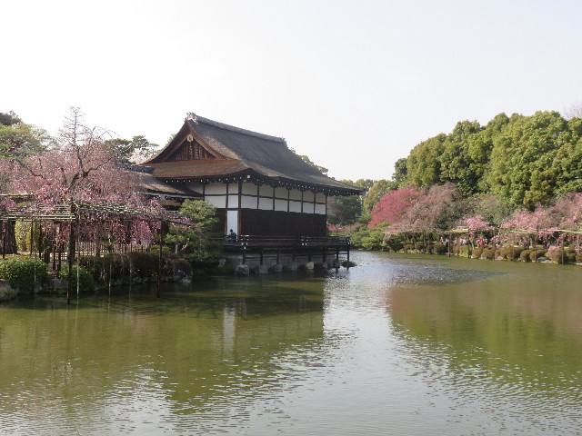 ファイル 4885-1.jpg