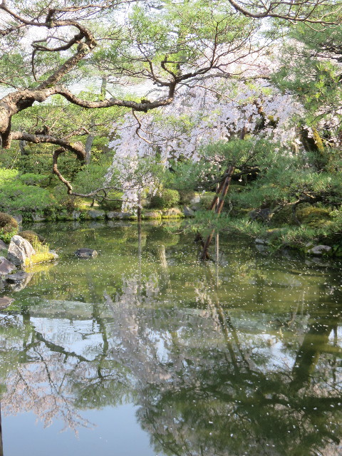 ファイル 4885-2.jpg