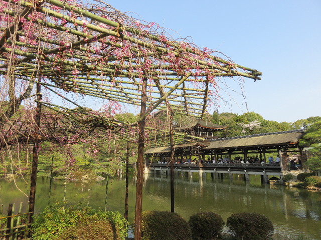 ファイル 4885-3.jpg