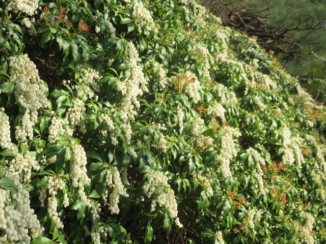 ファイル 4885-4.jpg