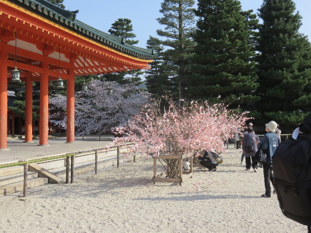 ファイル 4885-5.jpg