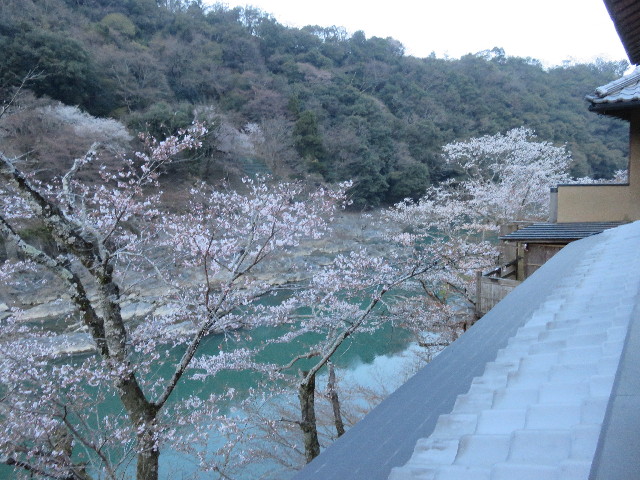 ファイル 4887-3.jpg