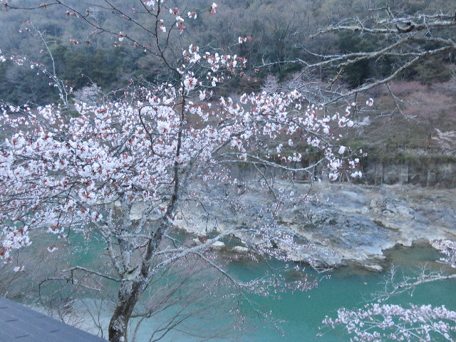 ファイル 4887-4.jpg