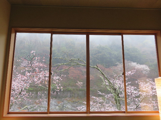 ファイル 4888-1.jpg