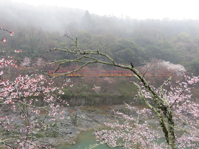 ファイル 4888-2.jpg