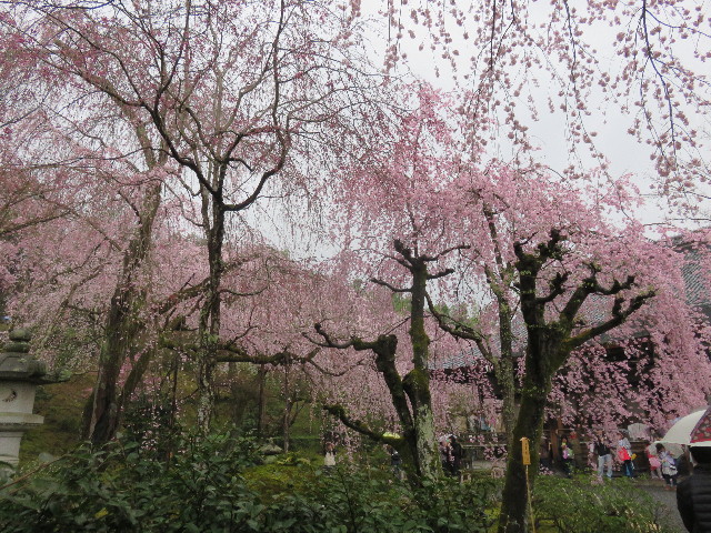 ファイル 4889-5.jpg