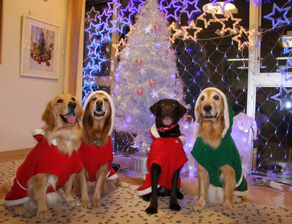 ファイル 489-1.jpg