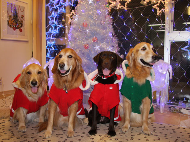 ファイル 489-2.jpg