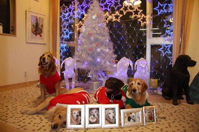 ファイル 489-3.jpg