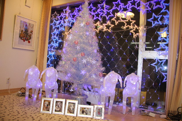 ファイル 489-4.jpg