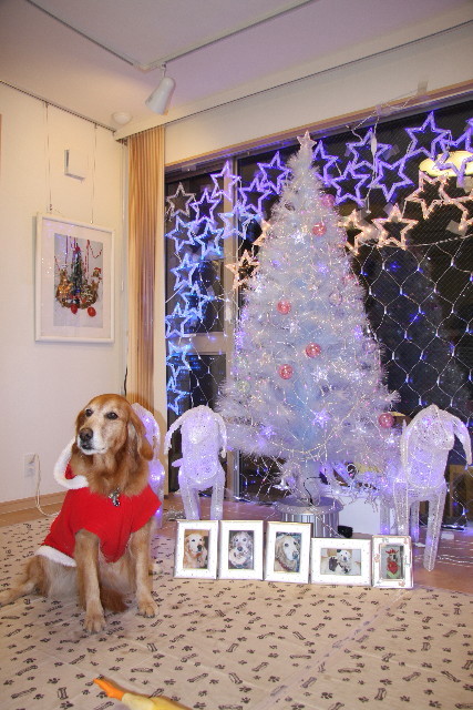 ファイル 489-5.jpg