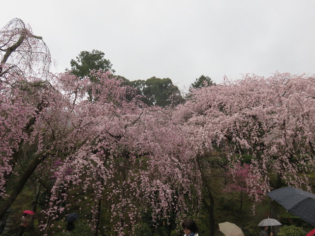 ファイル 4890-2.jpg