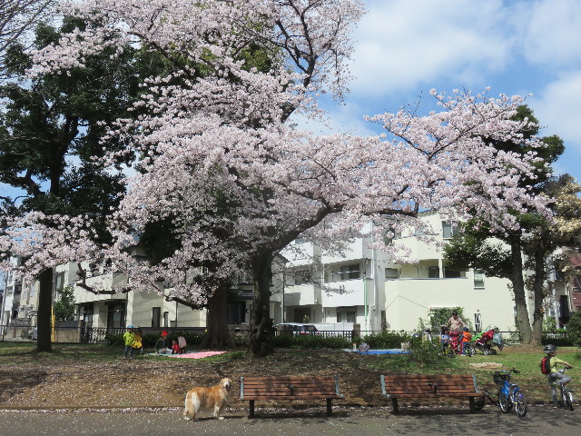 ファイル 4891-1.jpg