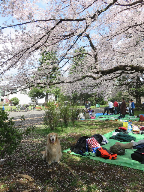 ファイル 4891-4.jpg