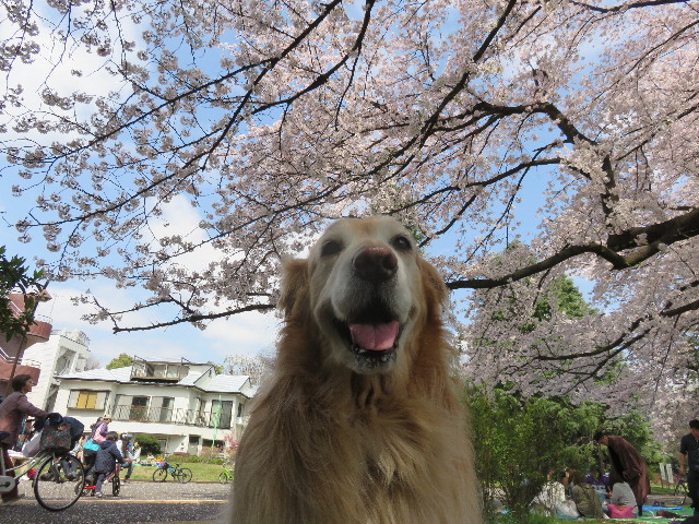 ファイル 4891-5.jpg