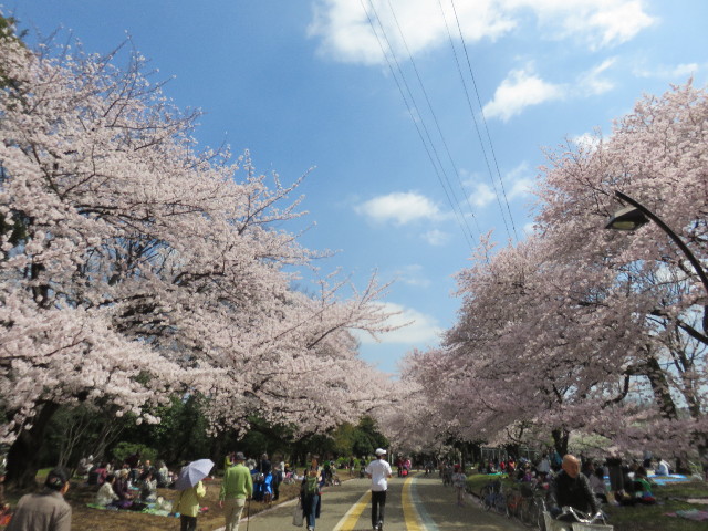 ファイル 4892-1.jpg