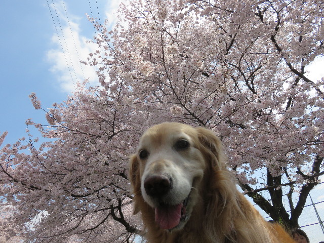 ファイル 4892-3.jpg